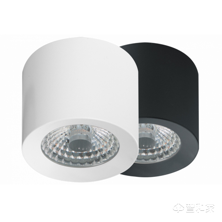 Loxone LED Ceiling Spot WW | LED吸顶射灯 WW